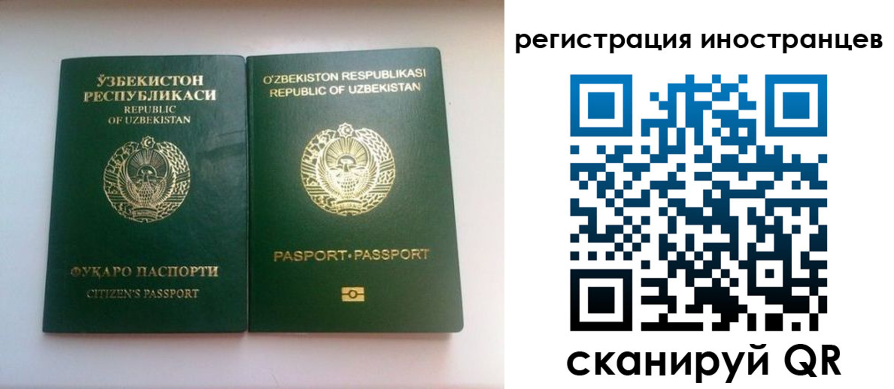 прописка 2025 в Новозыбкове