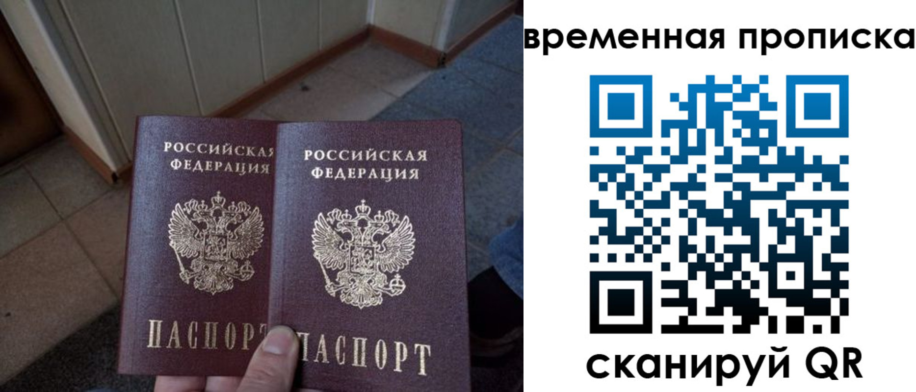 прописка поиск в Новозыбкове